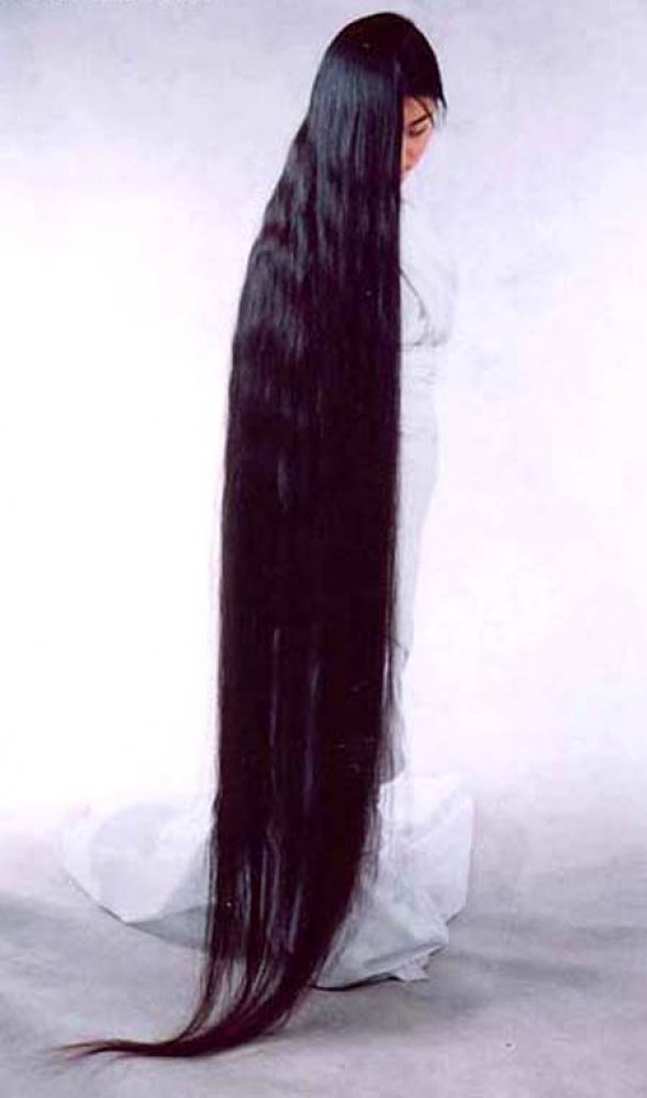 Long_hairlit11